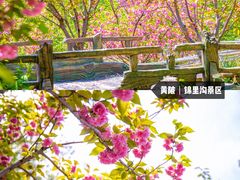 -月湖风景区