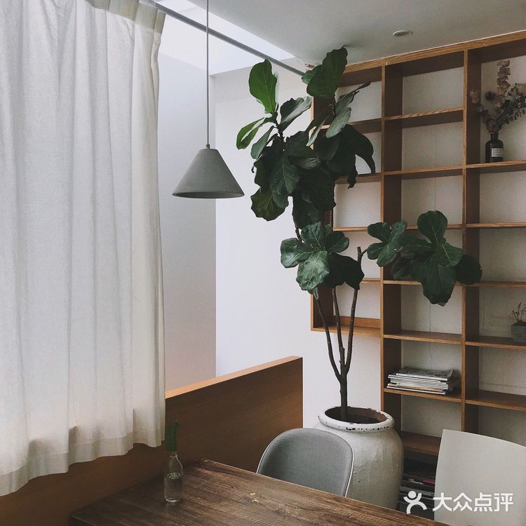 厦门美食 沙坡尾美食🌿反正好吃 反正好看🌿