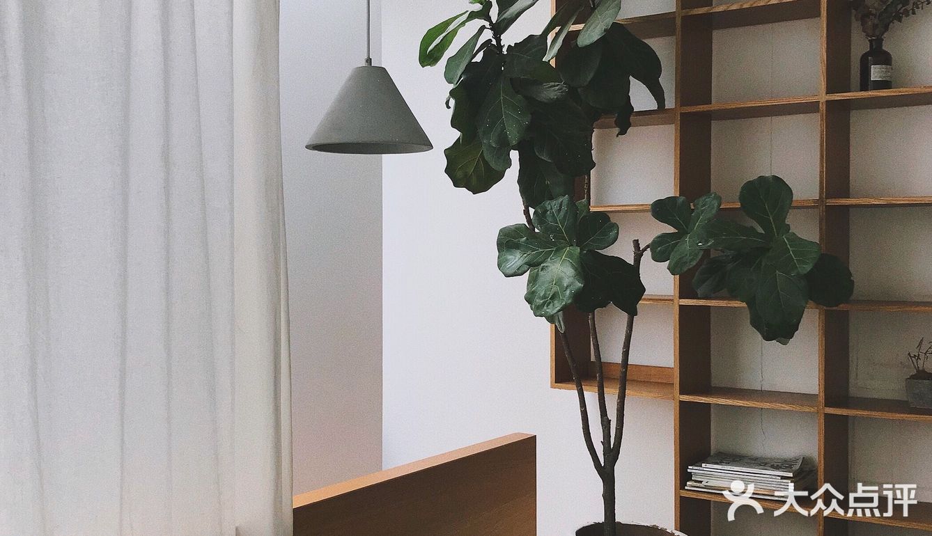 厦门美食 沙坡尾美食🌿反正好吃 反正好看🌿