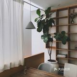 厦门美食 沙坡尾美食🌿反正好吃 反正好看🌿