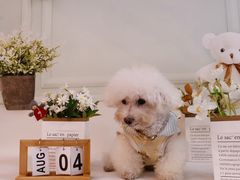 -喜洋洋宠物医院(震川路总店)