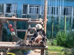 -大连森林动物园