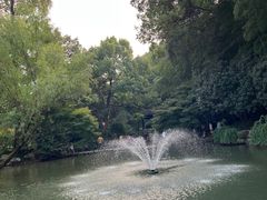 -杭州植物园