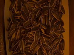 -Helens海伦司小酒馆(对外经贸大学店)