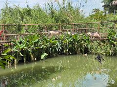 -长鹿旅游休博园