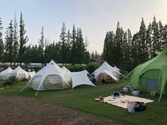 -前小桔亲子创意农场·草莓采摘·露营烧烤