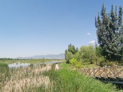 -野鸭湖国家湿地公园