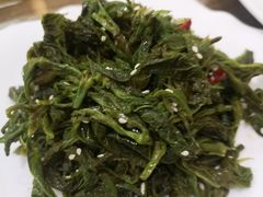 凉拌桑芽-董立兵烤鸭店(明湖店)
