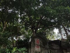 -船政文化景区-罗星塔公园