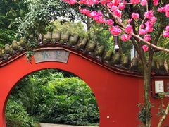 -望江楼公园