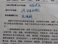 -谐和贝康宠物医院24小时·宠保定点(急重症转诊中心)
