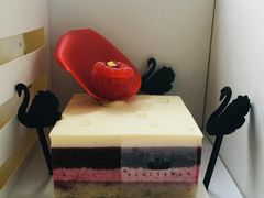 -BLACKSWAN黑天鹅(环球店)