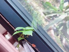 -福田家月子中心 产后 月嫂(市立母子医院店)