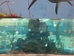 -鸿通城购物中心