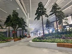 -青岛胶东国际机场