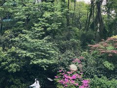 美术馆门口很有日系感-浙江美术馆