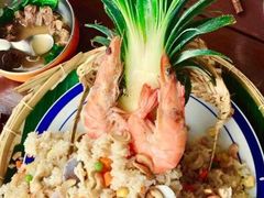 -茉莉.Red Crab