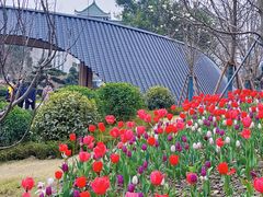 -成都市文化公园
