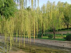 -元大都城垣遗址公园