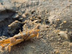 -北海金海湾红树林生态旅游区