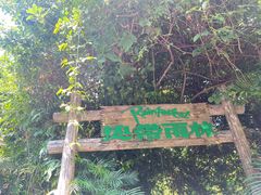 -青青世界