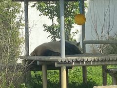 -苏州太湖国家湿地公园