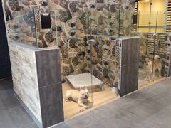 -宠物之家Pets Home 宠物寄养酒店