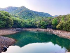 -杭州半山国家森林公园