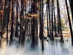 -东湖落雁景区