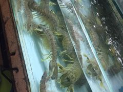 -班赞海鲜市场