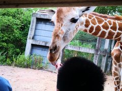 -清迈夜间动物园
