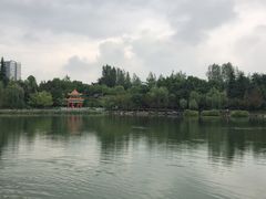 -西南政法大学(渝北校区)