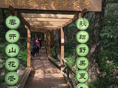 -大岭沟猕猴桃谷风景区