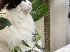 -自由生长植物工作室(深港花卉中心店)