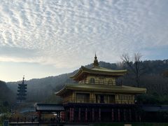 -千年银杏谷文化旅游区