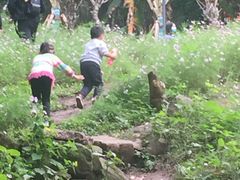 -重庆彩云湖湿地公园