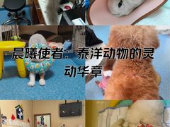 -泰洋动物医院·神经专科·磁共振·CT(天河公园总院)