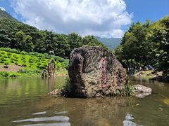 -广州市石门国家森林公园