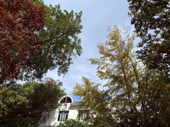 -上海市保健医疗中心