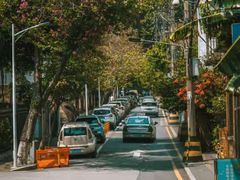 -溪岸路花鸟市场