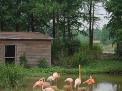 -宁波杭州湾国家湿地公园