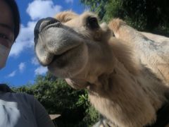 -贵州森林野生动物园
