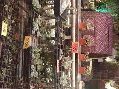 -花溪雨·森林餐厅(石基店)
