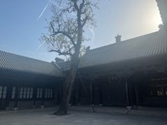 -天津戏剧博物馆