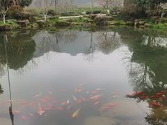-中国茶叶博物馆(双峰馆区)