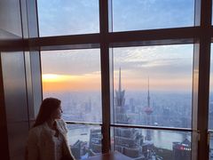 -上海柏悦酒店