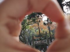 -白鹿洞书院