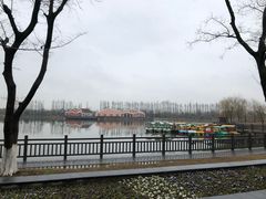 -上海长兴岛郊野公园