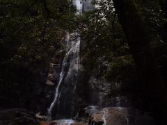 -大鄣山卧龙谷景区