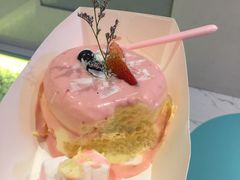 -狐狸和向日葵(北京路店)